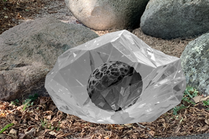 Lumora Primordial project image by Kenneth Beeker