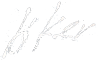 Sig._White_200px