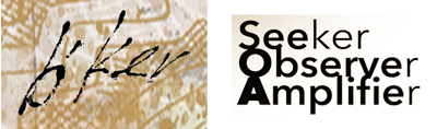 b'ker Seeker - Observer - Amplifier
