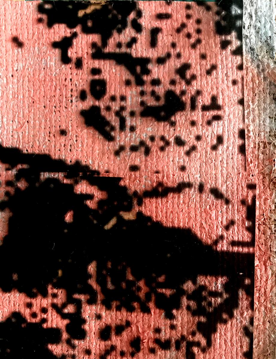 Boundless Mutual Connection Through Art part 061