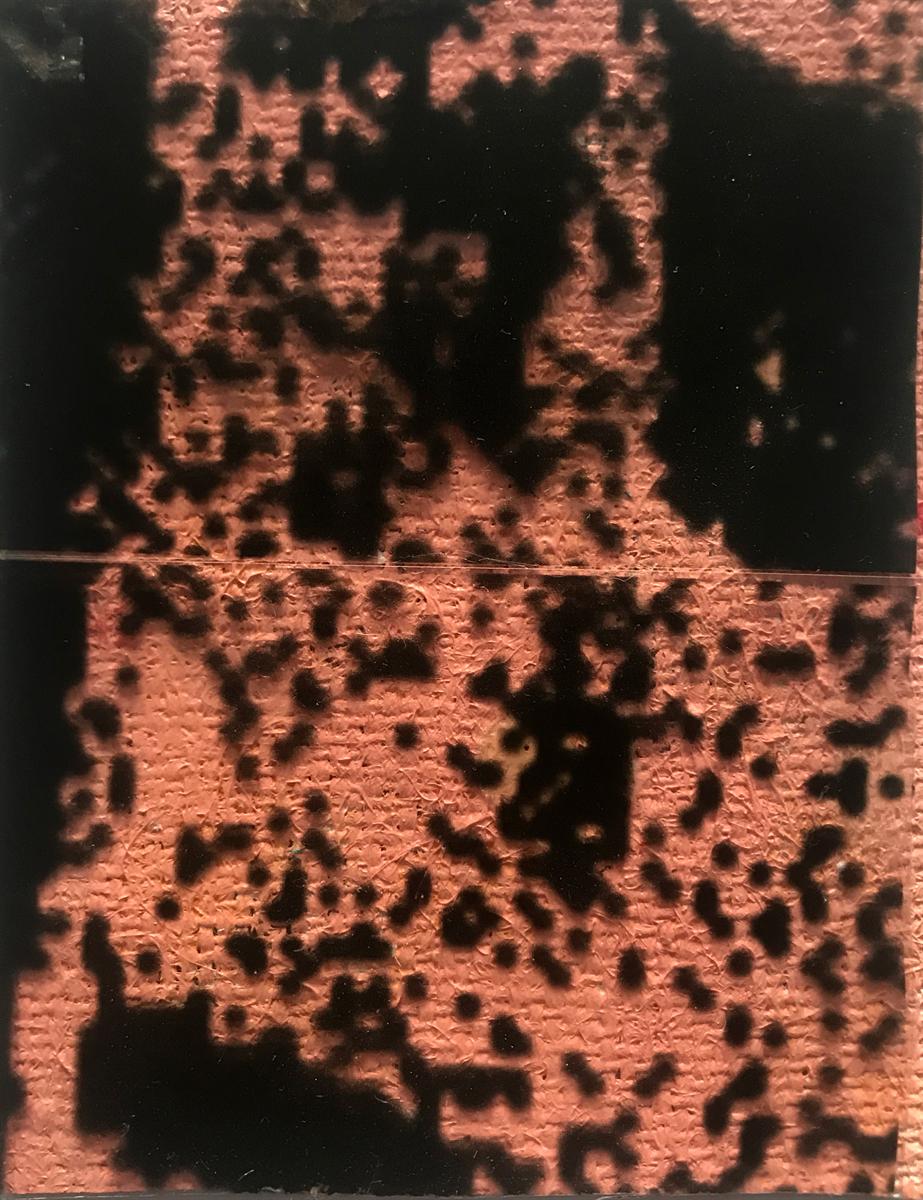 Boundless Mutual Connection Through Art part 168