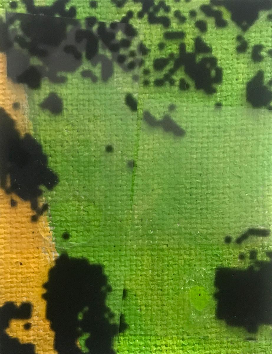Boundless Mutual Connection Through Art part 248