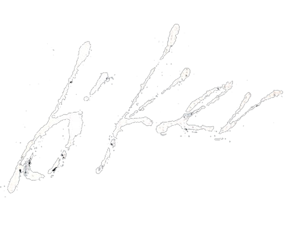 bker_White_1200
